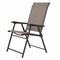 Set of 2 Folding Patio Chairs Outdoor Textilene Seating with Steel Frame for Deck Garden Porch